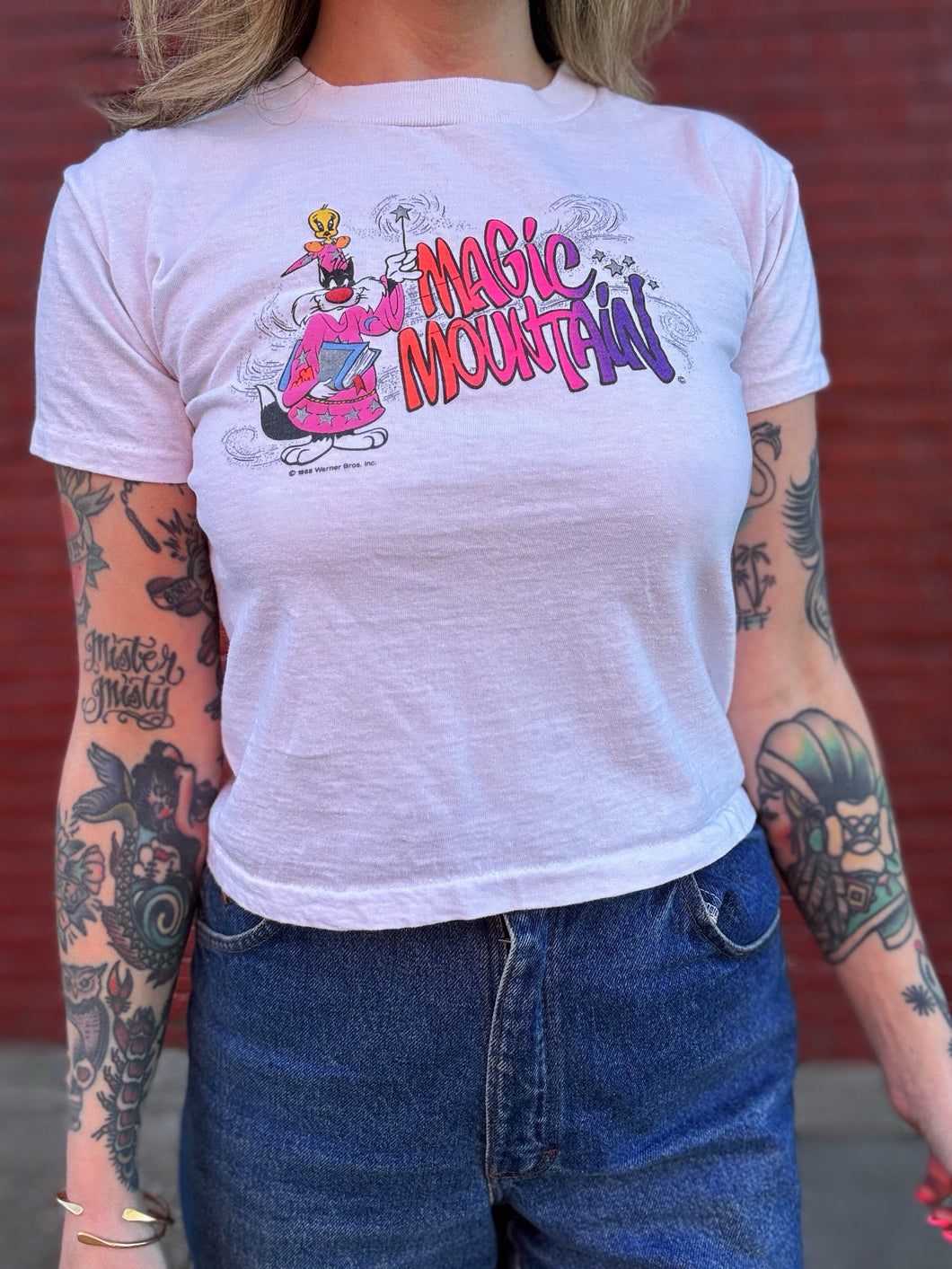 Vintage 80s magic mountain tee